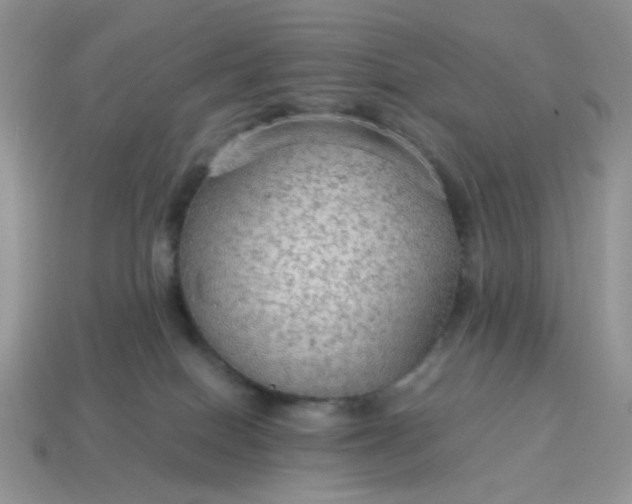 X0000114600086200911091326