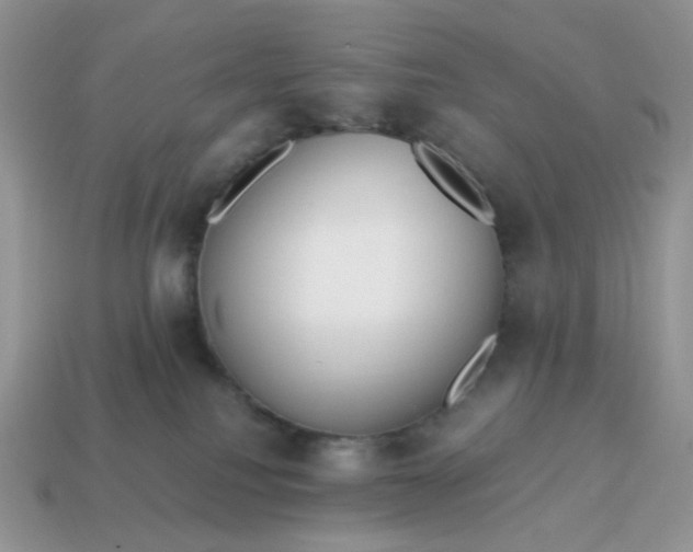 X0000114600088200911091326