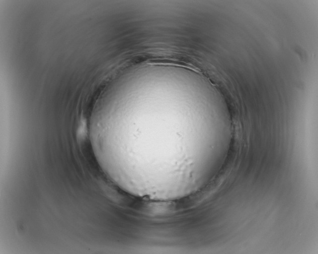 X0000114600089200911091326