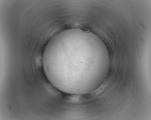 X0000114600090200911091326