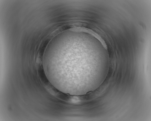 X0000114600091200911091326