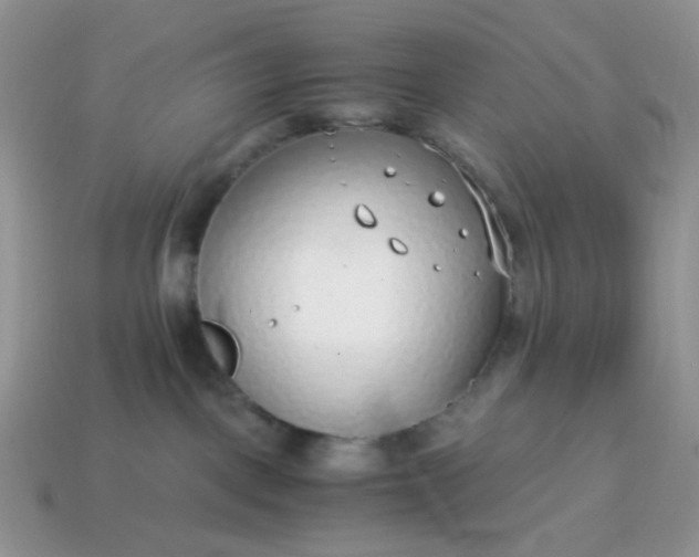 X0000114600093200911091326