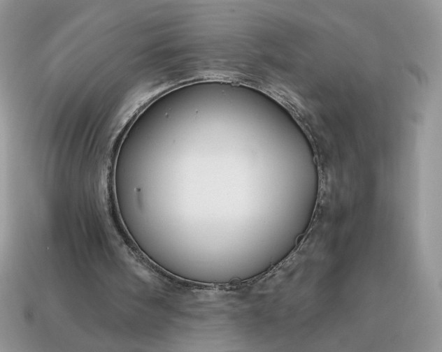 X0000114600098200911091326