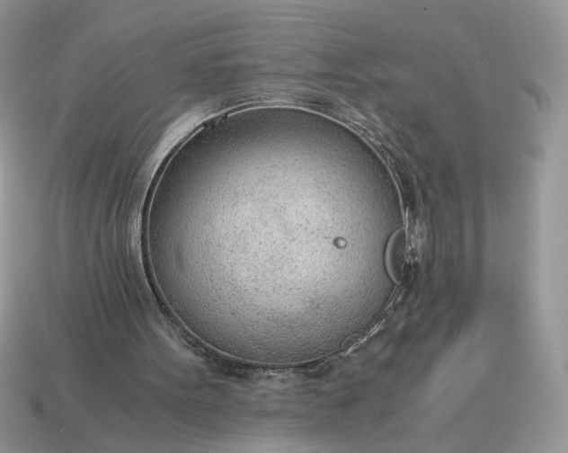 X0000114600099200911091326