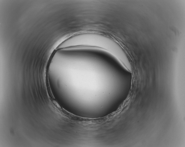 X0000114600100200911091326