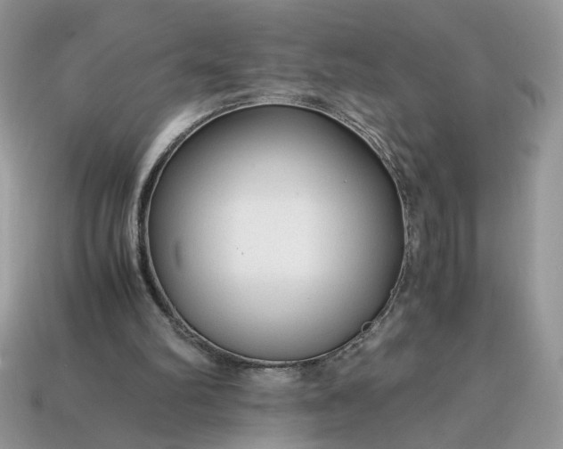 X0000114600102200911091325