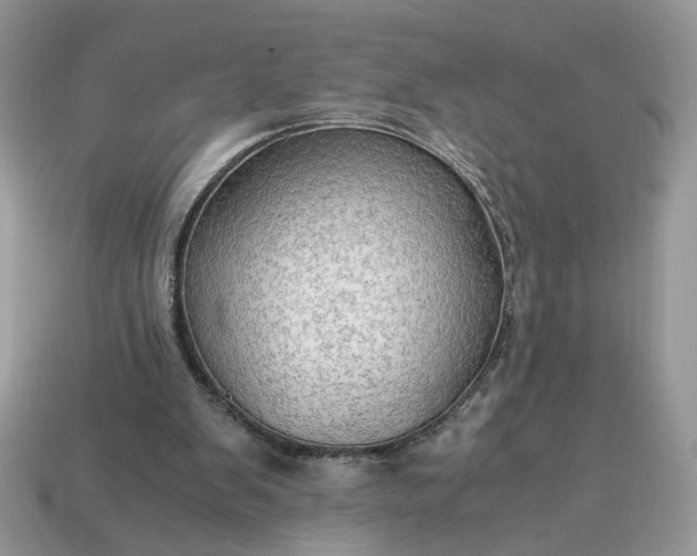 X0000114600103200911091325