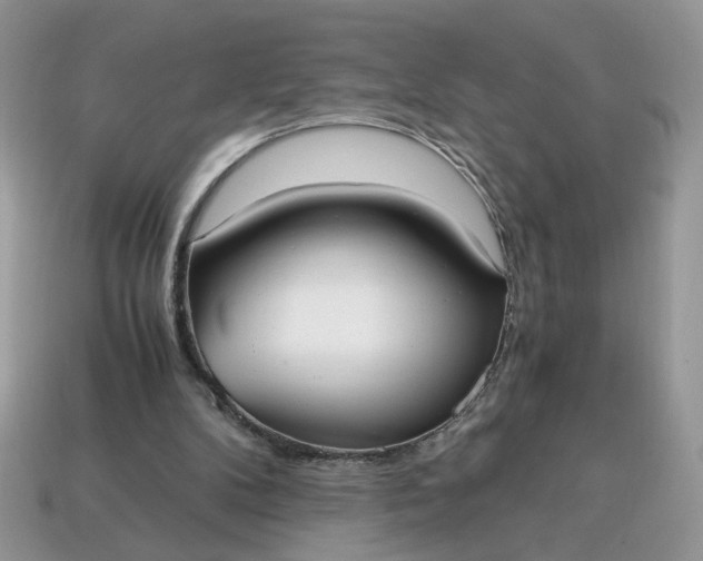 X0000114600104200911091325