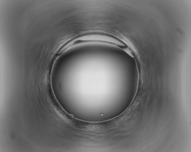 X0000114600105200911091325