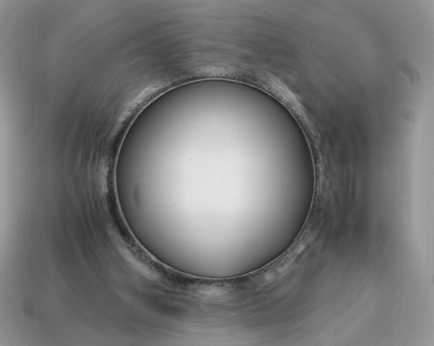 X0000114600106200911091325