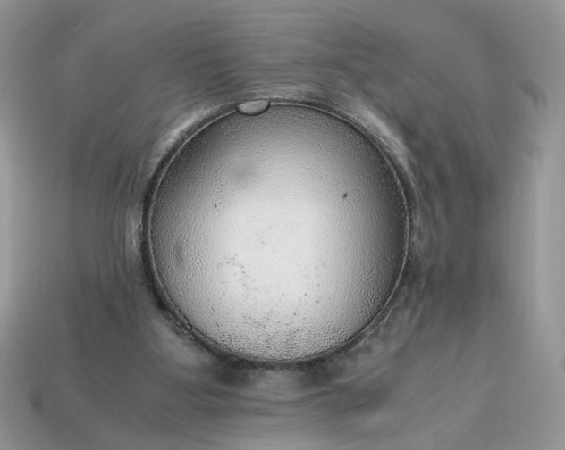 X0000114600107200911091325