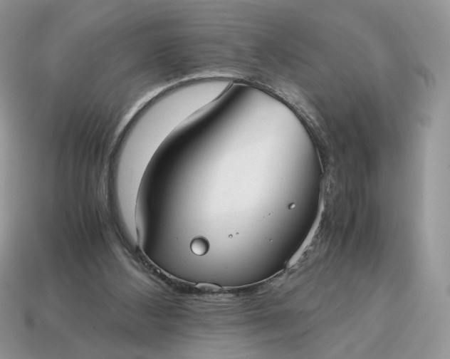 X0000114600108200911091325