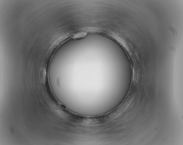 X0000114600109200911091325