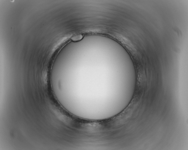 X0000114600112200911091325