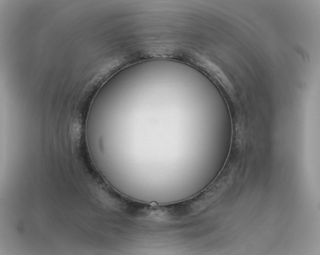 X0000114600113200911091325