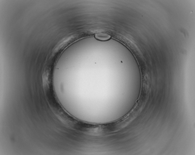 X0000114600116200911091325