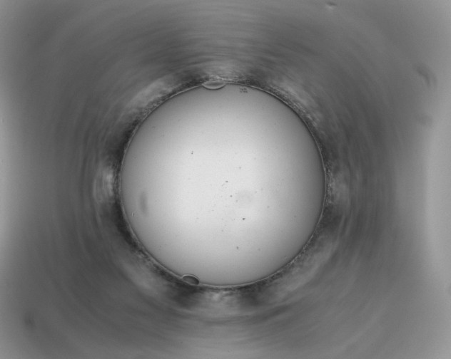 X0000114600117200911091325