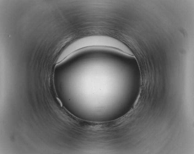 X0000114600120200911091325