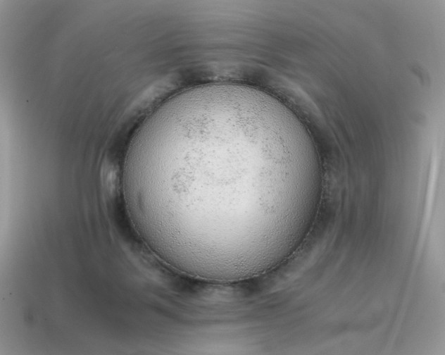 X0000114600123200911091325