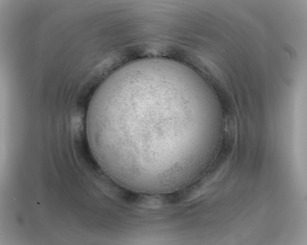 X0000114600127200911091325