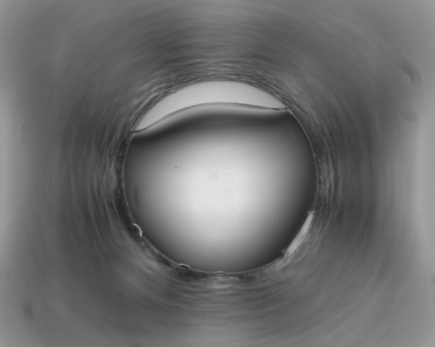 X0000114600128200911091325