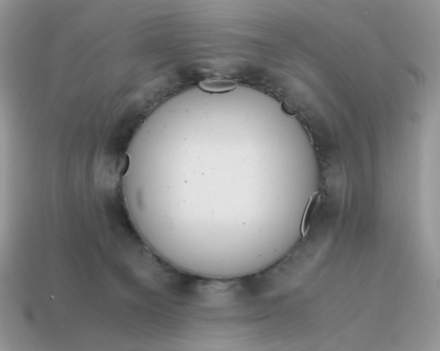 X0000114600129200911091325