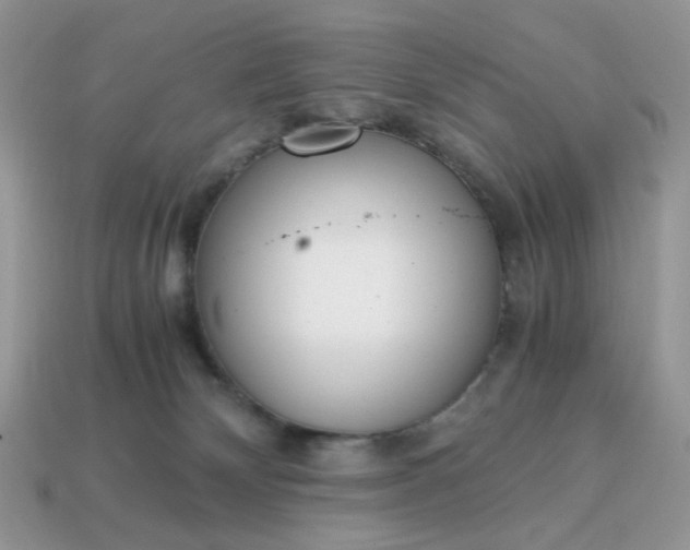 X0000114600132200911091325