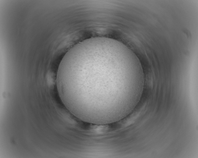 X0000114600135200911091325