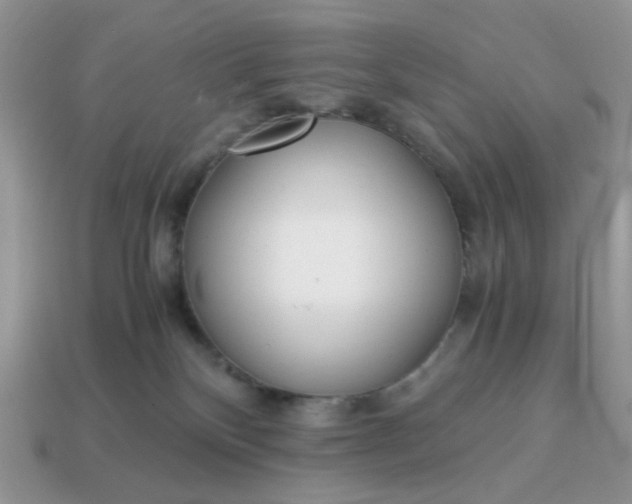 X0000114600136200911091325