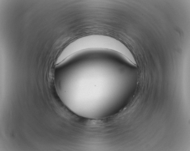 X0000114600137200911091325