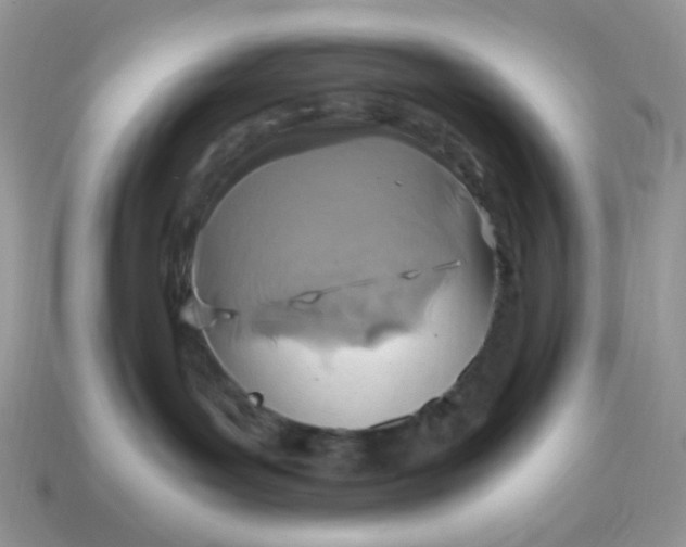 X0000114600143200911091325