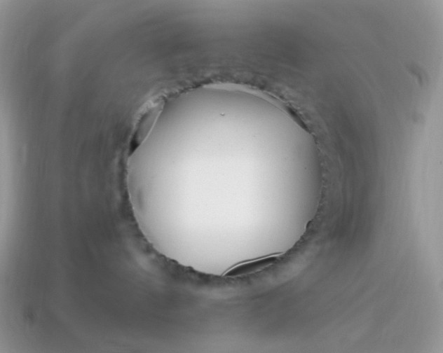 X0000114600144200911091325