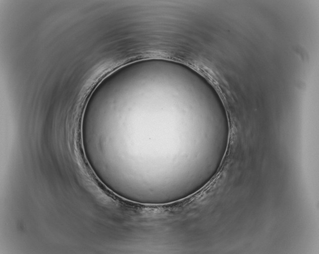 X0000114600145200911091324