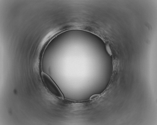 X0000114600150200911091324