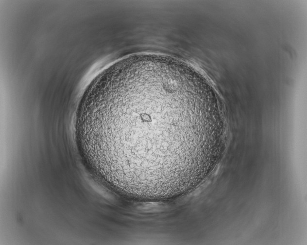 X0000114600151200911091324