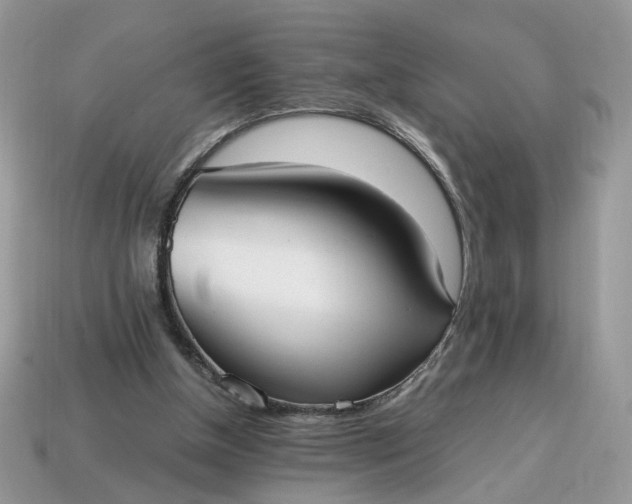 X0000114600154200911091324