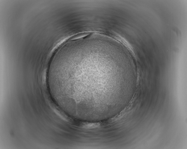 X0000114600155200911091324