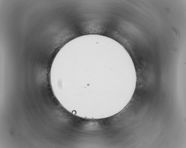 X0000114600162200911091325