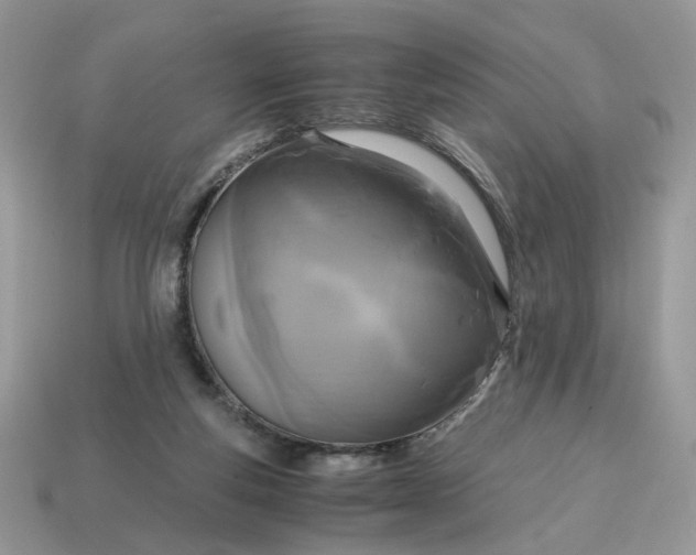 X0000114600163200911091325