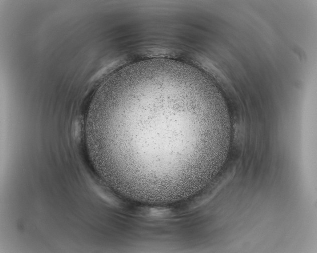 X0000114600165200911091325