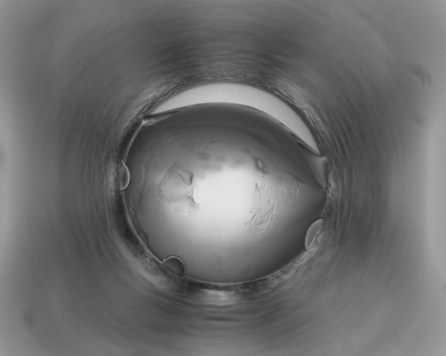 X0000114600167200911091325