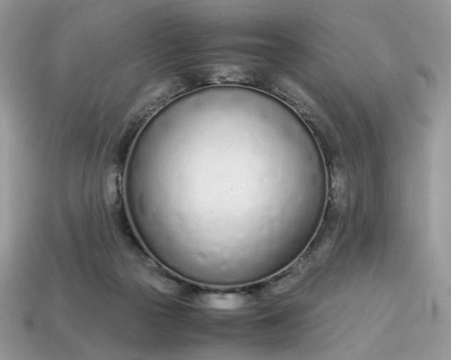 X0000114600169200911091325