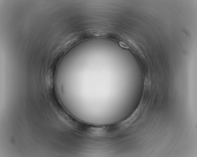 X0000114600170200911091325