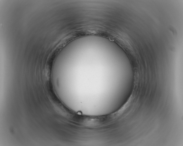 X0000114600174200911091325