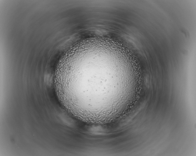 X0000114600177200911091325