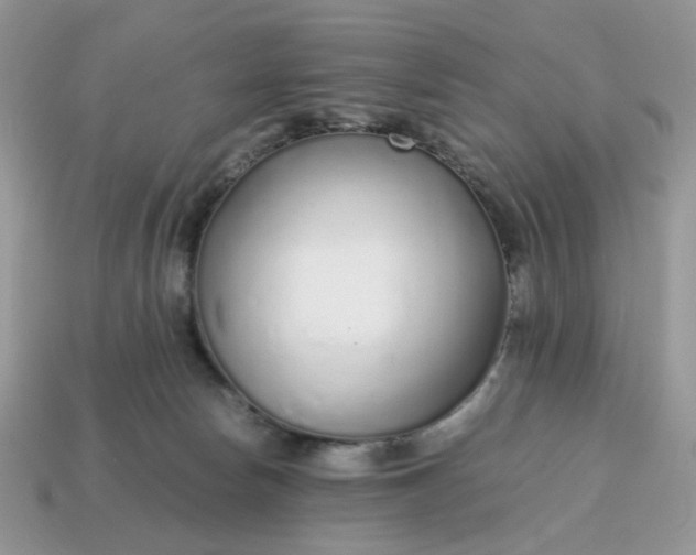 X0000114600178200911091325