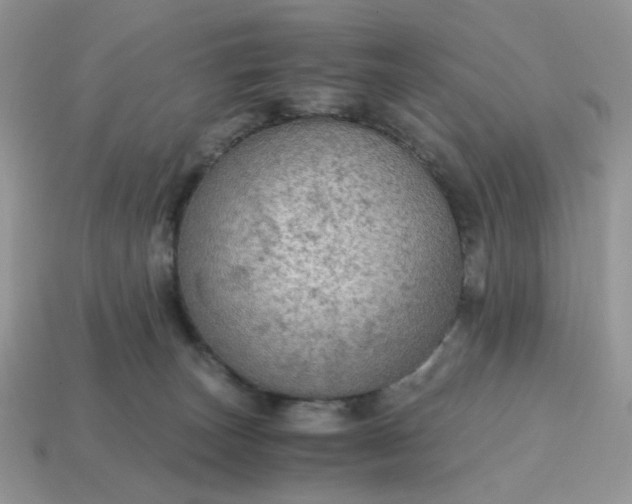 X0000114600179200911091325