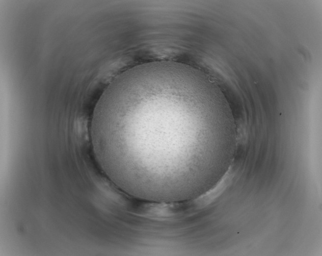 X0000114600182200911091325