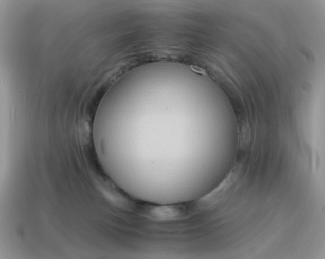 X0000114600183200911091325