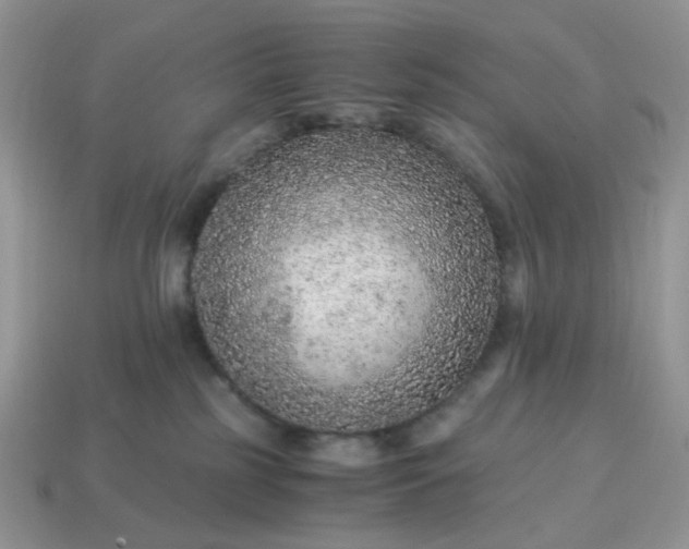 X0000114600185200911091325